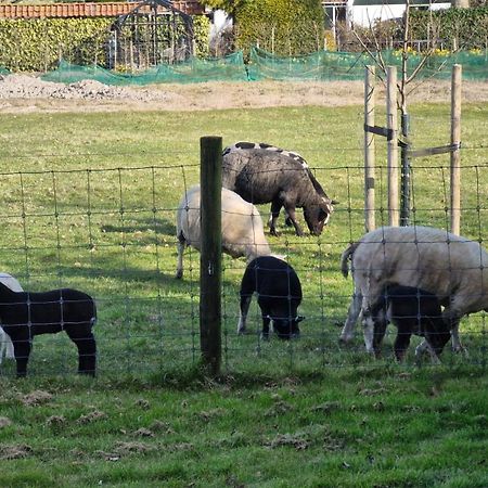 Hemmer Hoeve Экстерьер фото