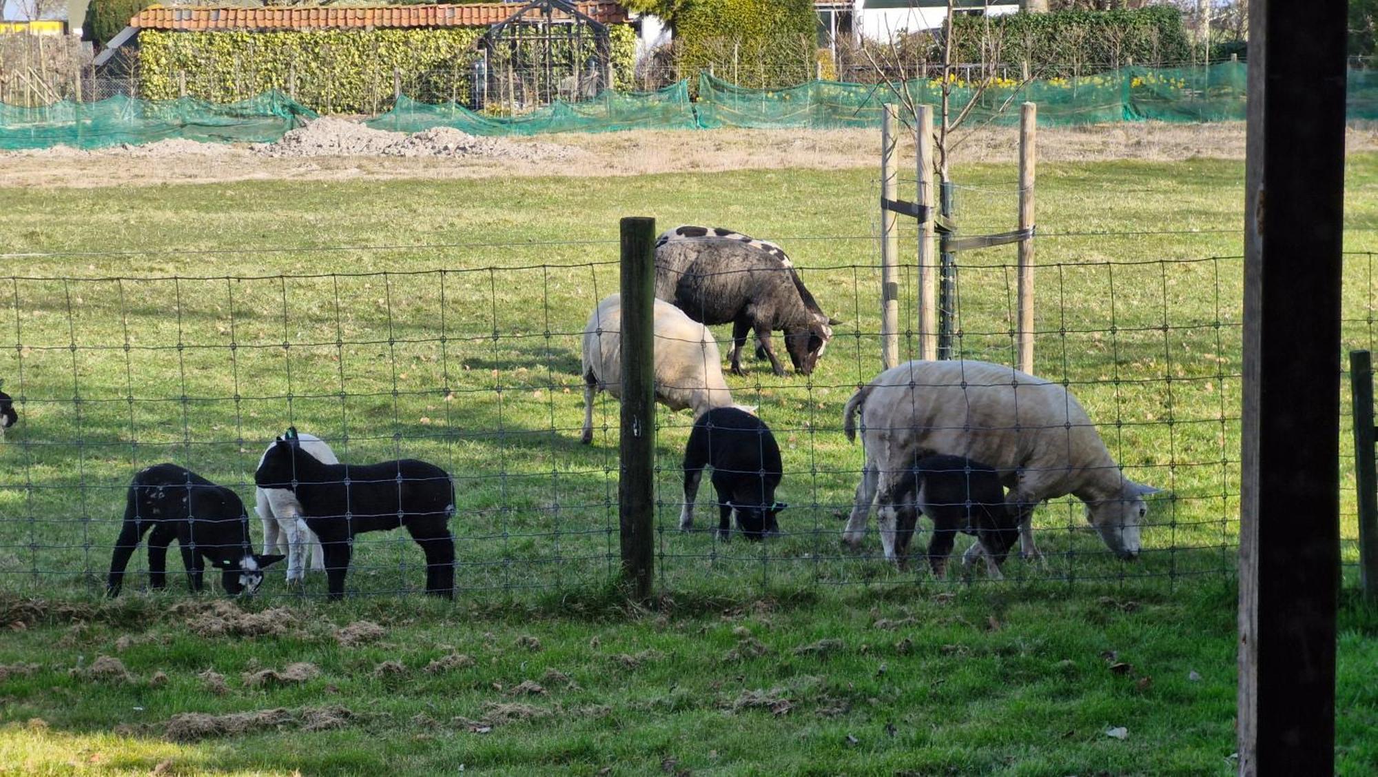 Hemmer Hoeve Экстерьер фото